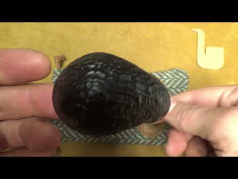 Pipa Peterson Saint Patrick's Day 2025 Sandblasted  221 - Limited Edition