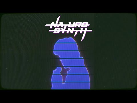 NaturoSynth - The Image (Music Video)