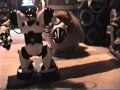 Dog Barking At And Attacking A Toy Robot