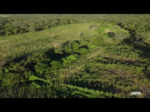 FAZENDA ANTONIO ALVINO NETO ( SANTANA DOS GARROTES-PB.)