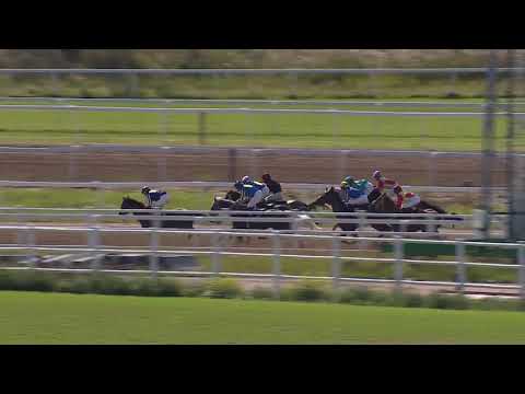 Bro Park (SWE) Aug 7th 2019 - Arabhästhandicap