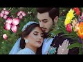 Nahi Tum Bin Ab Gujara Beautiful Status