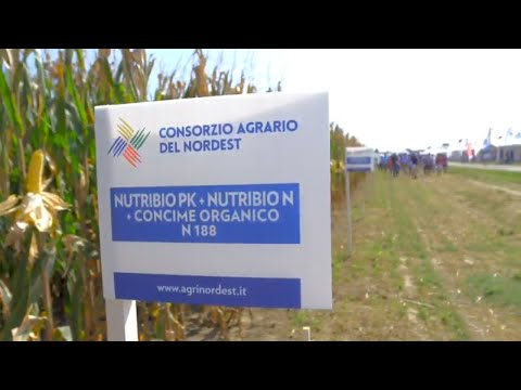 NUTRIBIO N | Ammendante biologico con funghi micorrizici (micorrize) e batteri azotofissatori