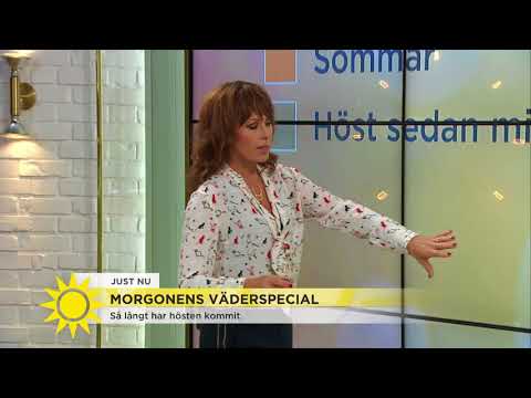 Så blir vädret - stormvindar och regn väntar - Nyhetsmorgon (TV4)