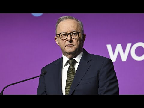 ‘Play stupid games, win stupid prizes’: Albanese under fire over Grace Tame comment