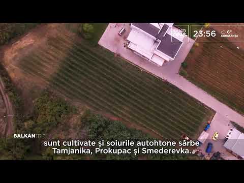 LIVE. Euronews România