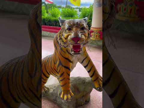 Tailandas 2025. 2 dienu ekskursija i provincija Kanchanaburi. #thailand #kanchanaburi #riverkwai