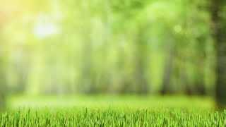 התנוצצות אלוקות | תוכנית בשידור חי! לימוד בספרי רבי נתן מברסלב זיע"א (הרב ברוך זרובבל) - התמונה מוצגת ישירות מתוך אתר האינטרנט יוטיוב. זכויות היוצרים בתמונה שייכות ליוצרה. קישור קרדיט למקור התוכן נמצא בתוך דף הסרטון