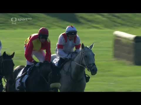 131. Velká Pardubická 2021