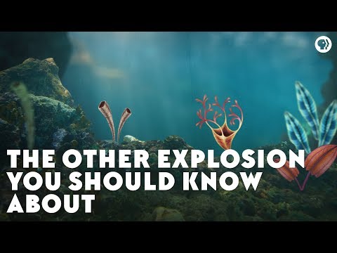 The Other Explosion You Should Know About