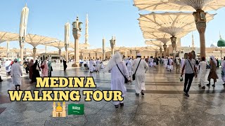 Medina Walking Tour Inside Masjid Al Nabawi and Do