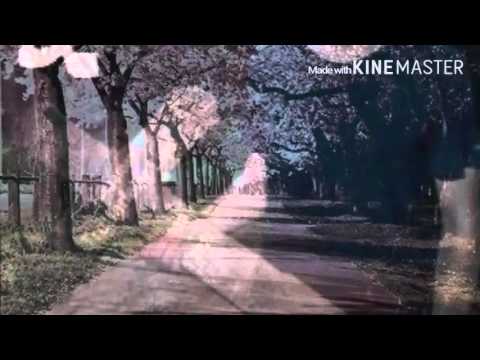 Alligatorh ~Trauerfeier Lied ❤