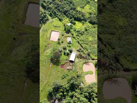 28 hectares a venda em Missal Paraná. R$ 2.500.000,00
