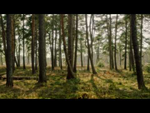 Lange Feat. Leah - Don't Think It (Feel It) (Cosmicman Remix)