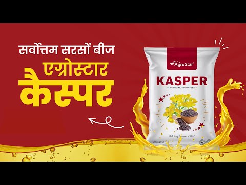 સારા રાયડાના પાકનું રહસ્ય – સારી  શરૂઆત