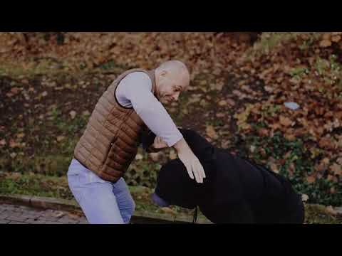 Kyusho real + training - ambush in the park