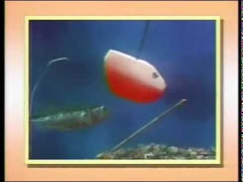 園芸 イトヨ、巣を作る魚