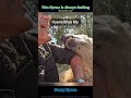 This hyena can’t stop cackling 😂#hyena#funnyanimals