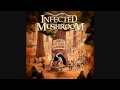 Infected Mushroom - The Legend of the Black ...