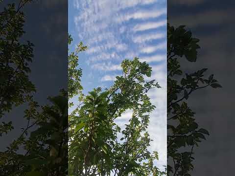 ٢٢ يونيو ٢٠٢٥