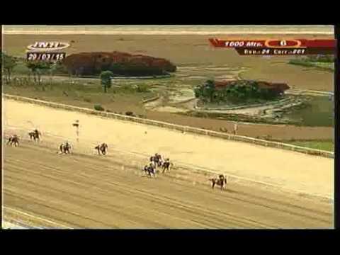 Resumen Domingo, 29 de Marzo de 2015 - La Rinconada