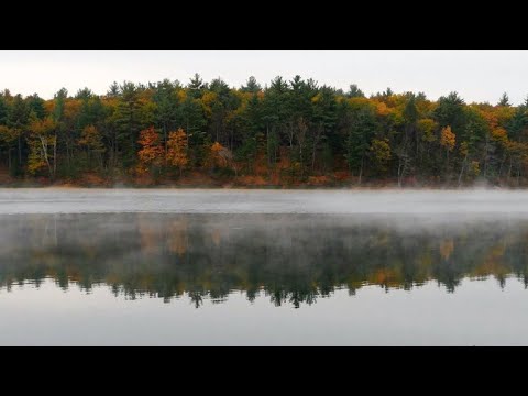 Nature: Walden Pond