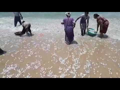 Full fishing In Hejamadi Beach