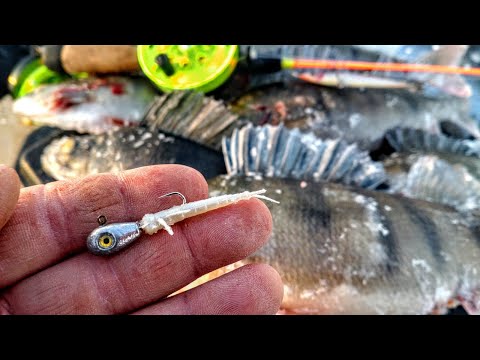 PAKKASPÄIVÄN PANNUKARKEET PIENELTÄ JÄRVELTÄ