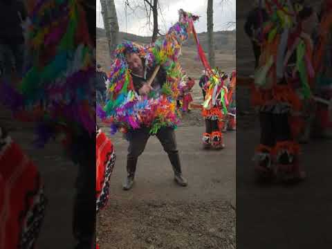 Capra  Bahnaseni 2017-2018