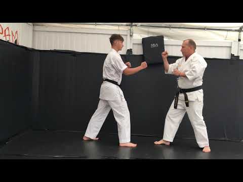 Wado Ryu Kihon Kumite 1