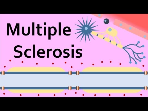 Multiple Sclerosis and the Myelin Sheath
