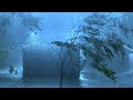 Sleep Instantly With Powerful Hurricane Terrible Rain Strong Wind Heavy Thunder At Stormy Night