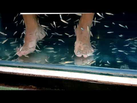 Fish Spa in Walking Street - Pattaya