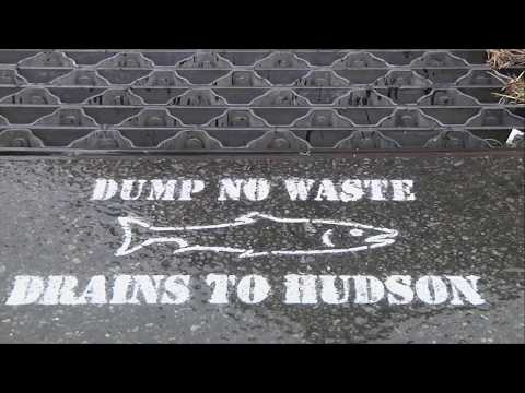 Cleaning The Hudson