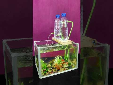 Tự chế hệ thống nước chảy liên tục cho bể cá bằng chai nhựa 