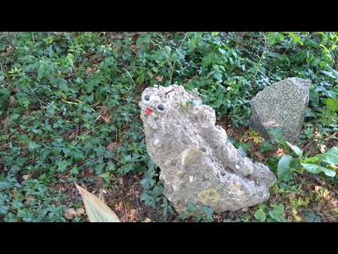 Aldo. Tenuta. Pomelasca dal conte ....