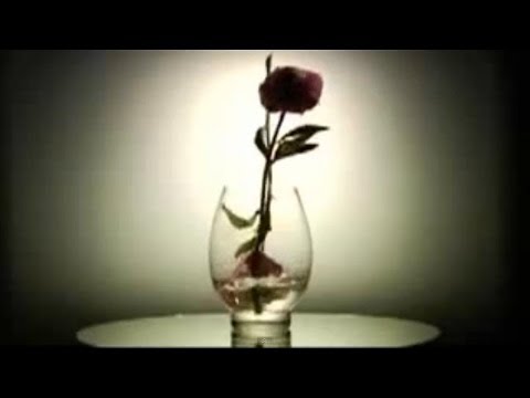 Dost Mc - Pse Po Shkon (Official Video)