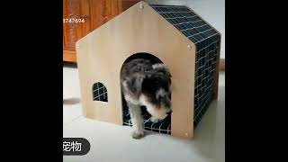 Domček pre mačky a malé psy zelený