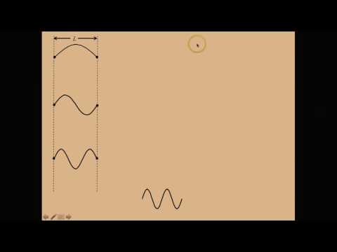 Intro to Harmonic Series (Standing Waves)