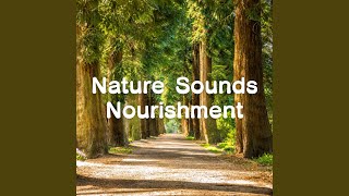 熟睡ギターBGM 睡眠の質を高めるヒーリング音楽...