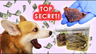SAVE MONEY BY MAKING YOUR OWN DOG TREATS!!! EASY DIY - Single Ingredient Dehydrated Dog Treats