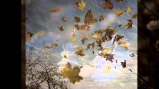 Respira. Miguel Inzunza