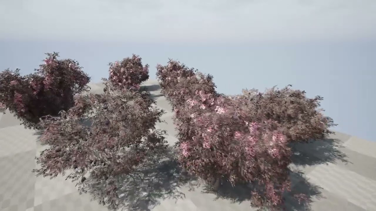 Flowering and fruit black Elderberry plant 3D Model