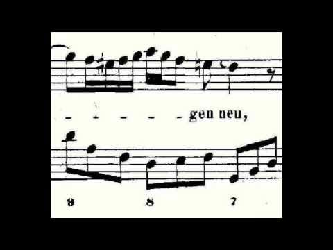 Natalie Dessay: Bach Cantata, BWV 51 (III: "Höchster")