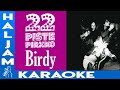 22-Pistepirkko - Birdy (karaoke)