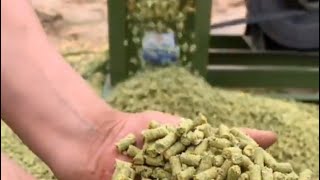 Small pellets making machine Compilation #agriculture #food #farming #technology #machine #poultry