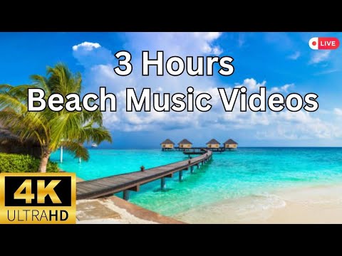 Sleep Music With Ocean and Jungle Sounds