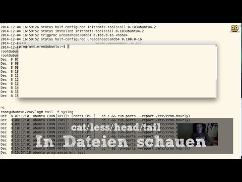 Unix für Entwickler #13 - In Dateien schauen