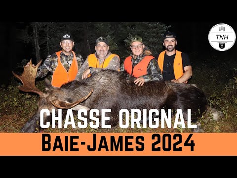 Chasse à l'orignal Baie-James 2024 - Eeyou Istchee Moose hunting 2024 - TruNorth Hunters