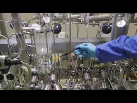 Fly through the YMC* EcoPrime LPLC System (*formerly LEWA)